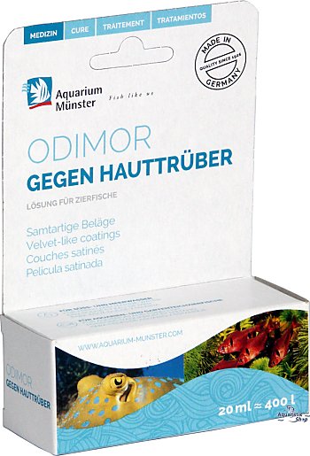 Aquarium Münster Odimor